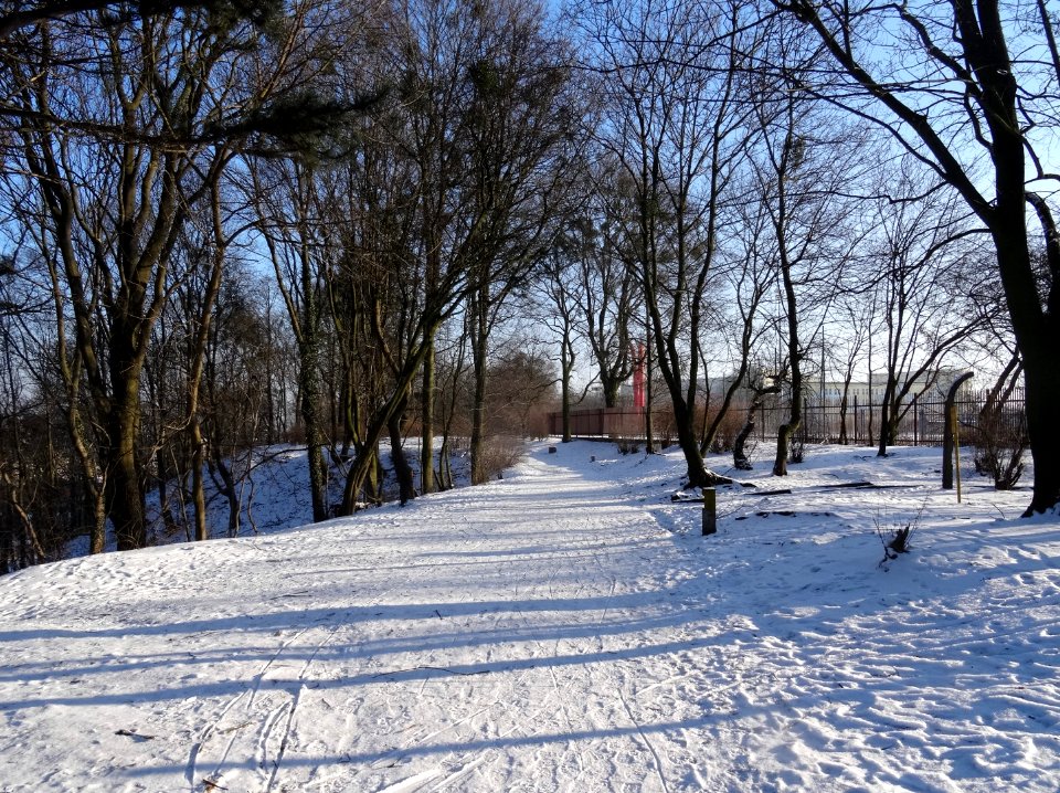 Bdg WW winter3 2-2017