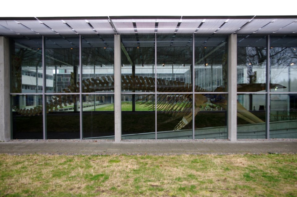 Beaty Biodiversity Museum exterior
