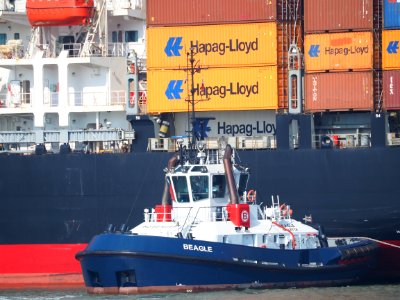 Beagle (tugboat, 2018) IMO 9816359, Port of Rotterdam pic2