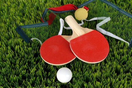 Table tennis bat sport play photo