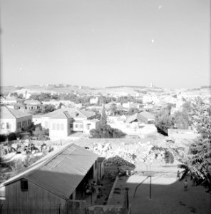 Bebouwing en begroeiing rondom Jeruzalem, gezien vanaf Mount Scopus, Bestanddeelnr 255-2316