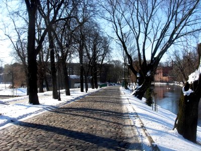 Bdg WM ul Mennica 03-2013