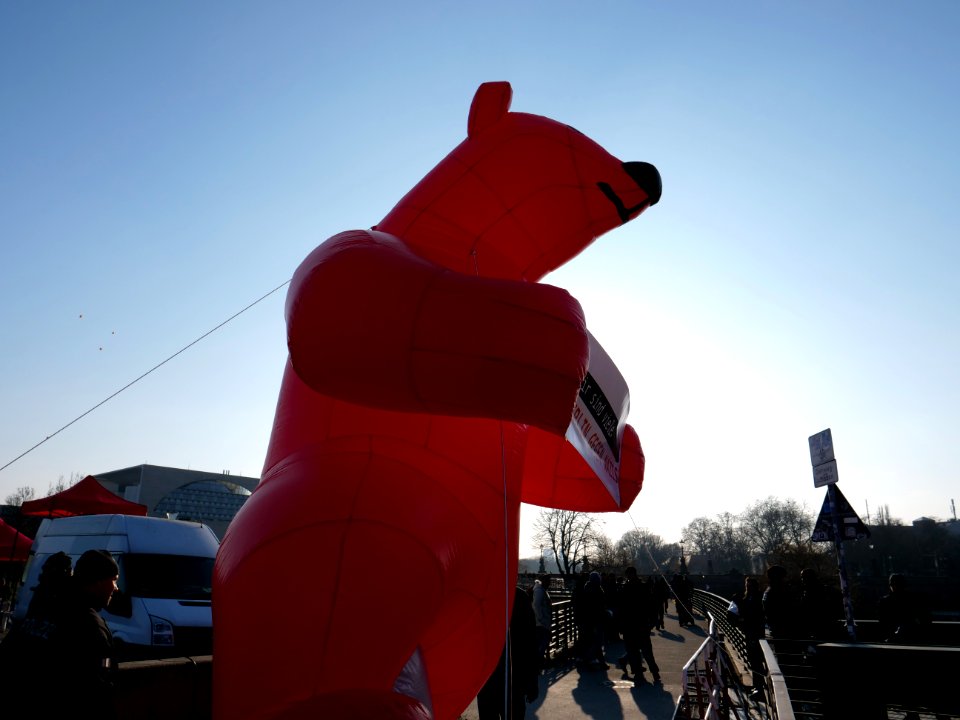 Bear of the "Berlin gegen Nazis" network