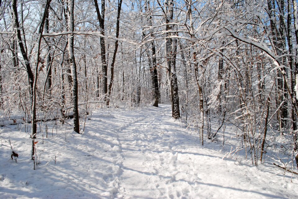 Nature cold landscape photo