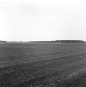 Bedrijven, graszoden, heidemij-barenbrug, De Rips, Bestanddeelnr 167-0892