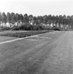Bedrijven, graszoden, heidemij-barenbrug, De Rips, Bestanddeelnr 167-0890