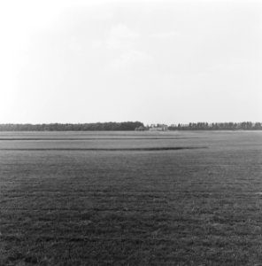 Bedrijven, graszoden, heidemij-barenbrug, De Rips, Bestanddeelnr 167-0894