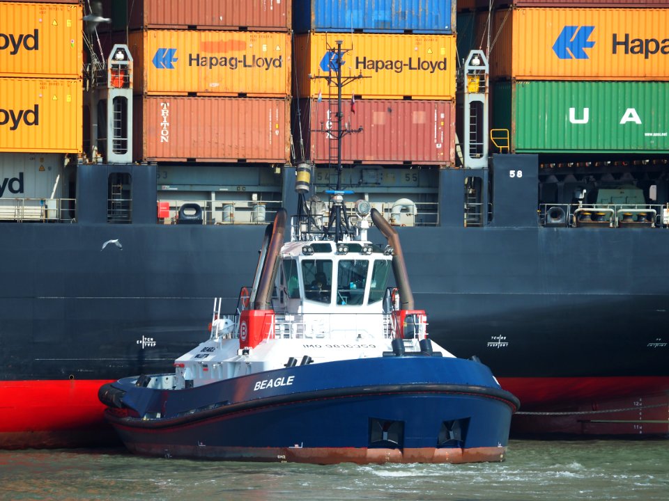 Beagle (tugboat, 2018) IMO 9816359, Port of Rotterdam pic5