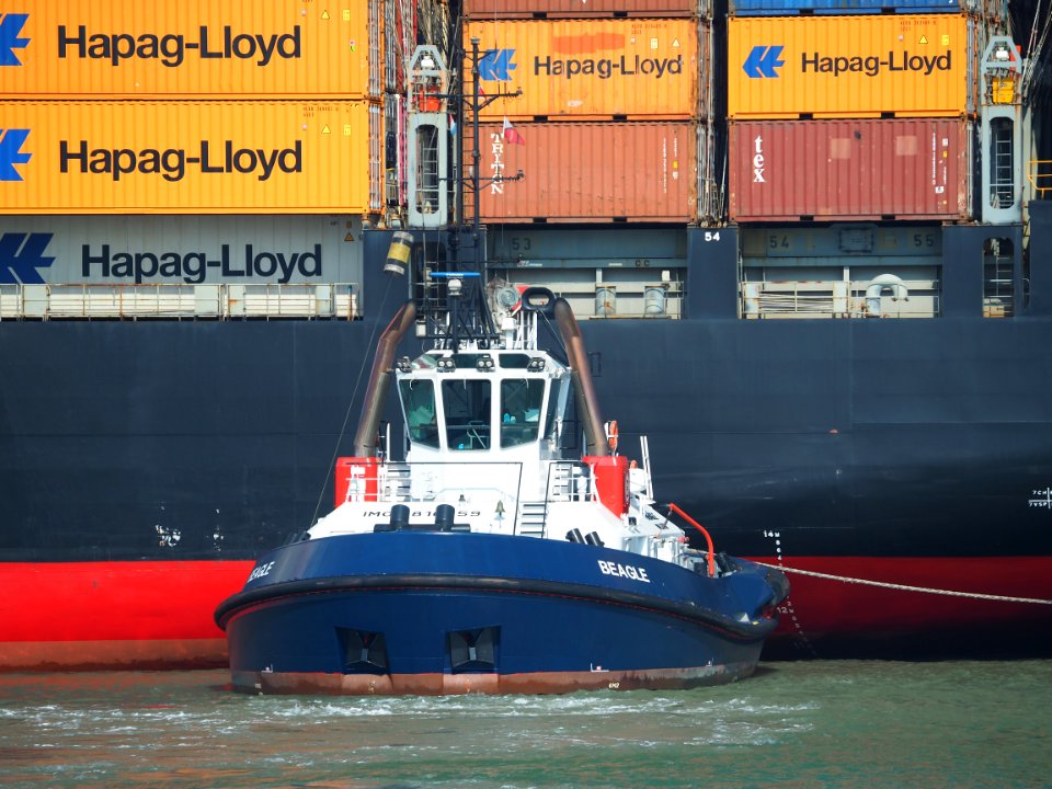 Beagle (tugboat, 2018) IMO 9816359, Port of Rotterdam pic3