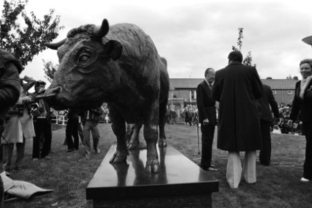 Beeld van de stier Dirk IV, op de achtergrond publiek, Bestanddeelnr 931-7226