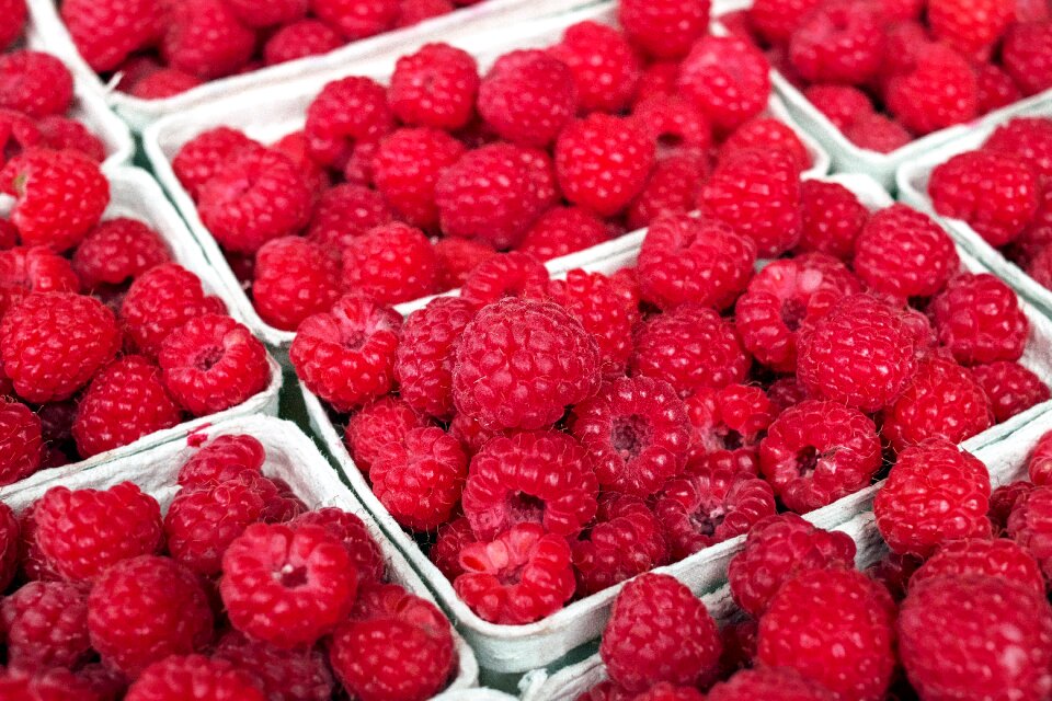 Fruits red summer