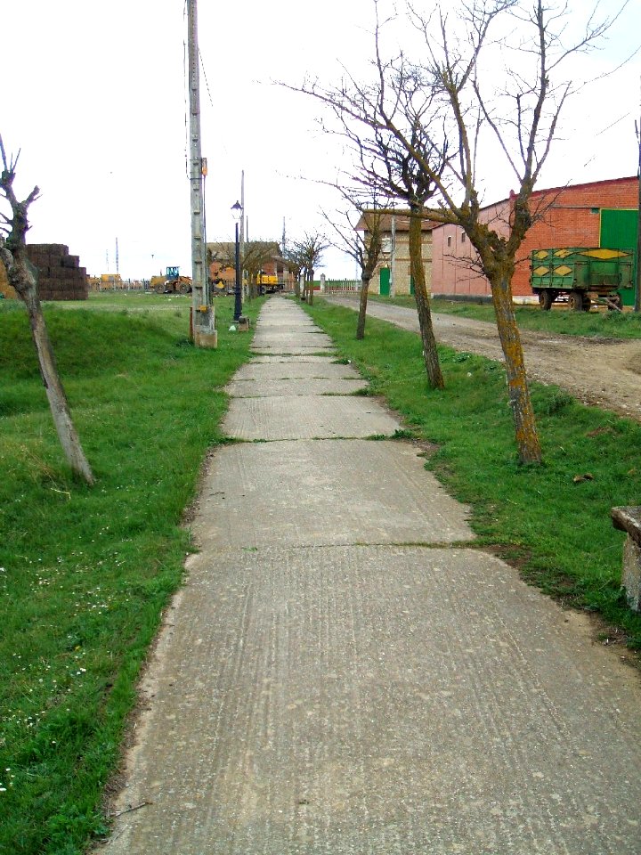 Becerril de Campos 08