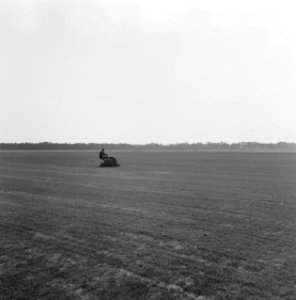 Bedrijven, graszoden, heidemij-barenbrug, De Rips, Bestanddeelnr 167-0893