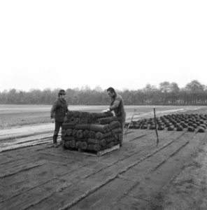 Bedrijven, graszoden, werkzaamheden, heidemij-barenbrug, De Rips, Bestanddeelnr 167-0881