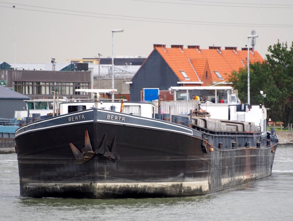 Beata (ship, 1923), ENI 02300591, Port of Antwerp pic2