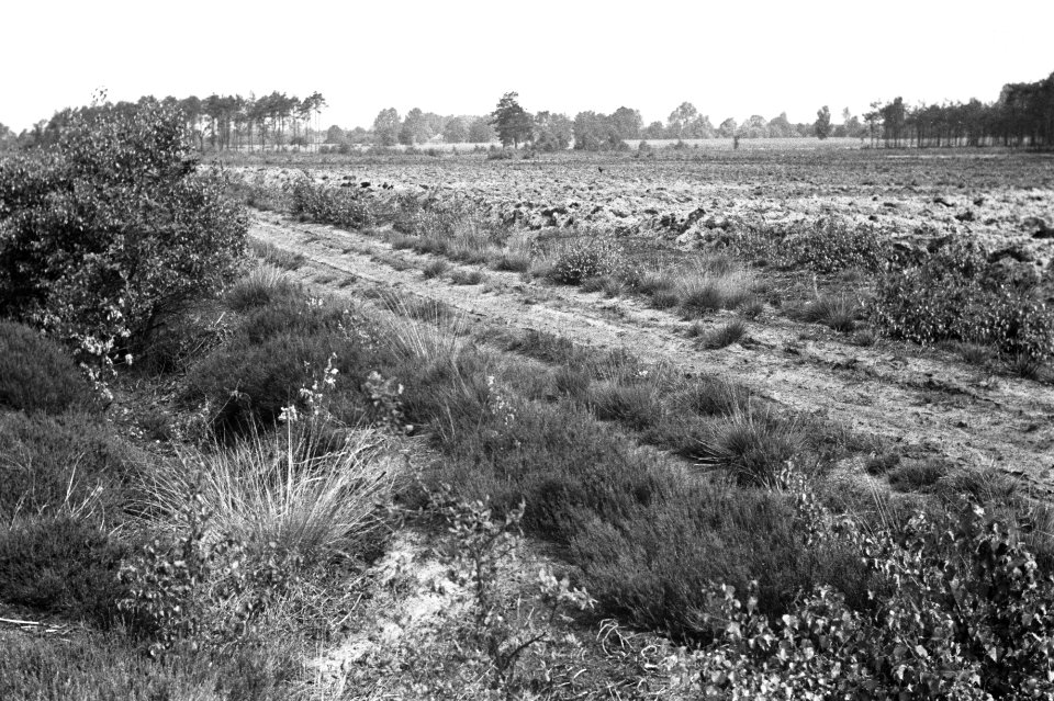 Beeld niet van betekenis, Bestanddeelnr 170-0074