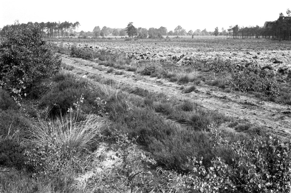 Beeld niet van betekenis, Bestanddeelnr 170-0073