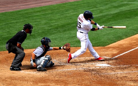 Batter ball player photo