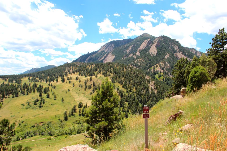 Bear Peak, Boulder County, July 2016