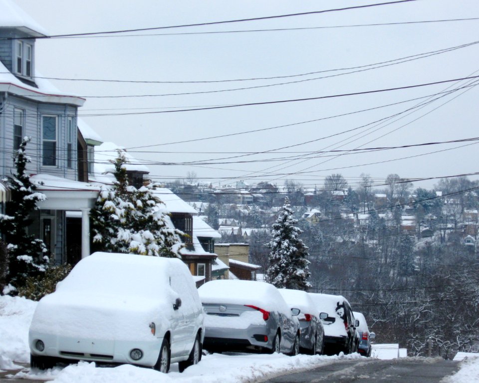 Beechview snow and cables