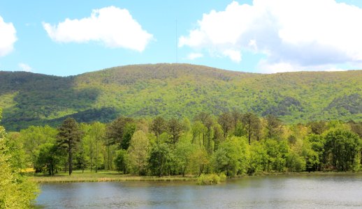 Bear Mountain, Cherokee County, Georgia