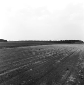 Bedrijven, graszoden, heidemij-barenbrug, De Rips, Bestanddeelnr 167-0895