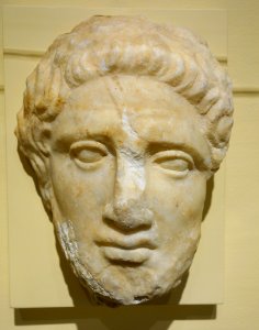 Bearded male head from a grave relief, Greek, Attic, 440 BC, marble - Fitchburg Art Museum - DSC08704