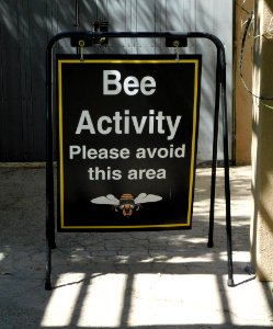 Bee activity warning