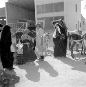 Bedoeïenenvrouwen in traditionele kledij op de markt, achter hen enkele ezels, Bestanddeelnr 255-3446