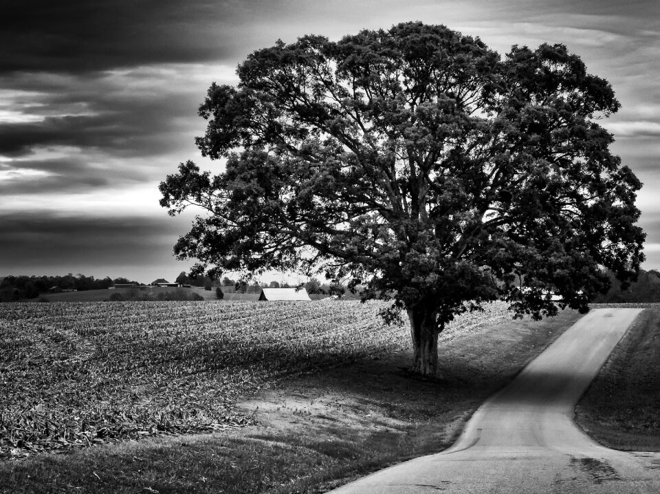 Landscape classic country