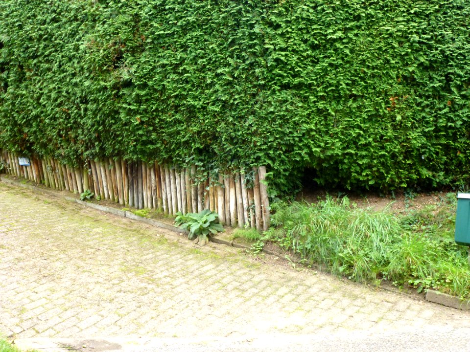 Beek (Ubbergen) Bosweg 31, Villa Hanenberg (toegangsweg, symbolisch)