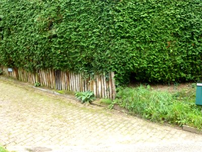 Beek (Ubbergen) Bosweg 31, Villa Hanenberg (toegangsweg, symbolisch)