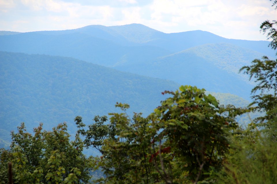 Beaverdam Bald from Cherohala Skyway, Sept 2019