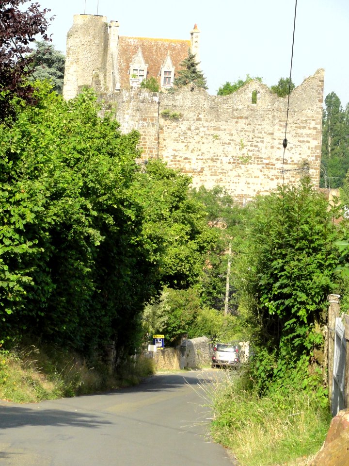 Beaumont-sur-Sarthe (Sarthe) château (02)