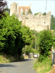 Beaumont-sur-Sarthe (Sarthe) château (02)