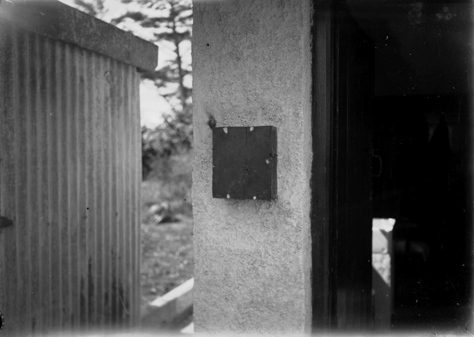 Beehive (1293947)