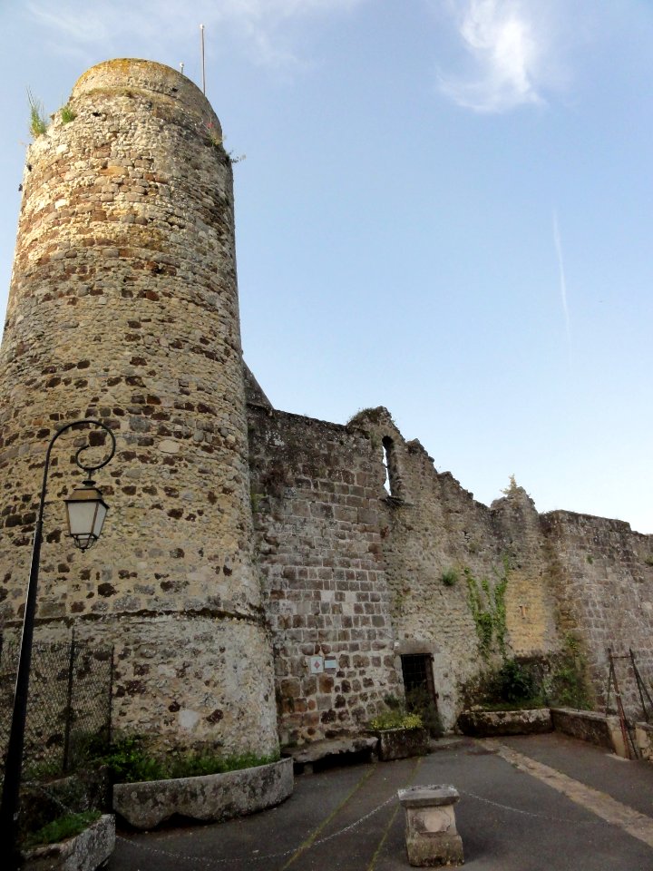 Beaumont-sur-Sarthe (Sarthe) château (03)