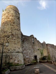 Beaumont-sur-Sarthe (Sarthe) château (03)