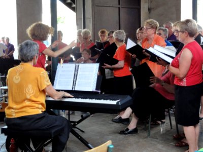 Beaumont-sur-Sarthe (Sarthe), fête de la musique 2019 (10)