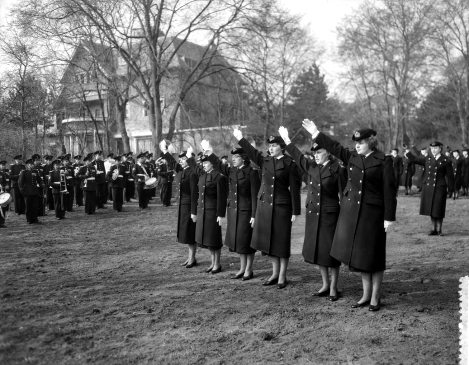 Beediging van zeven Marvaofficieren in Den Haag driewerf hoera van de pas beedig, Bestanddeelnr 910-2218