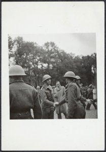 Beedigingsceremonie officieren regiment Stoottroepen in Den Bosch, Bestanddeelnr 512 057