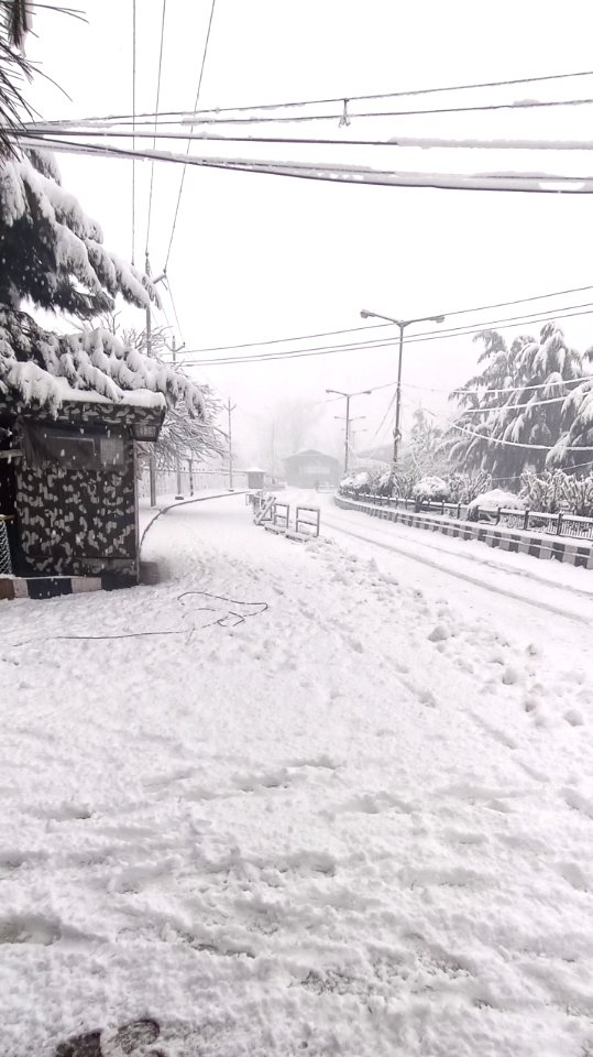 Beautiful Kashmir, near Srinagar Airport 5