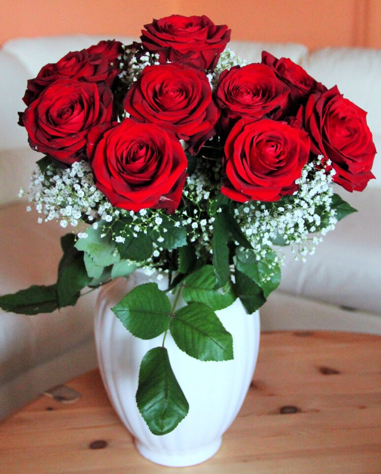 Queen of roses red roses i love you