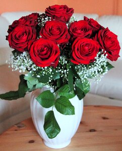 Queen of roses red roses i love you