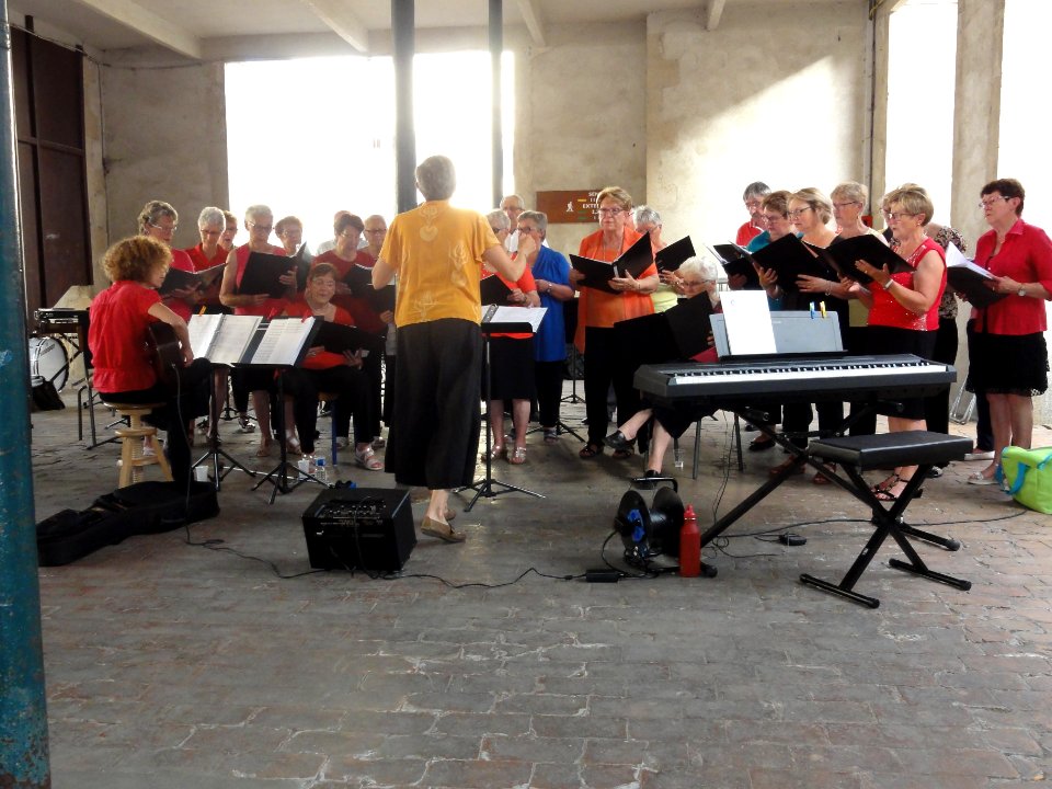 Beaumont-sur-Sarthe (Sarthe), fête de la musique 2019 (13)
