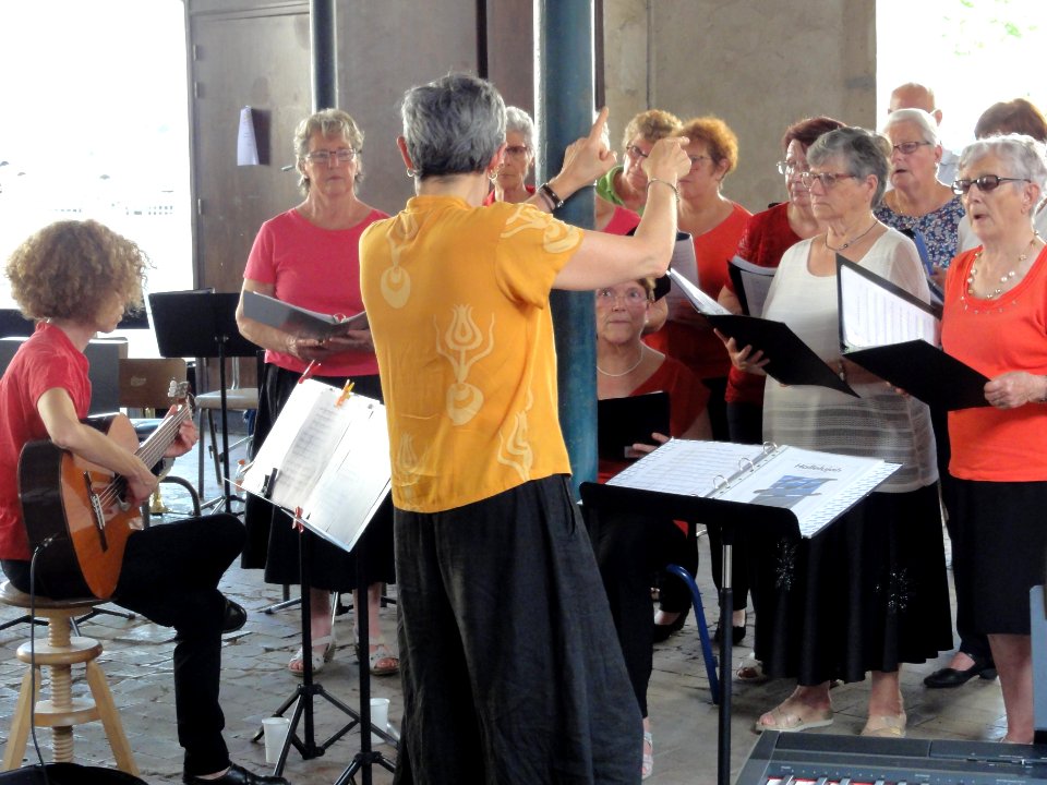 Beaumont-sur-Sarthe (Sarthe), fête de la musique 2019 (04)