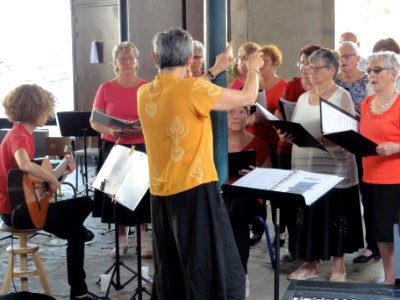 Beaumont-sur-Sarthe (Sarthe), fête de la musique 2019 (04)