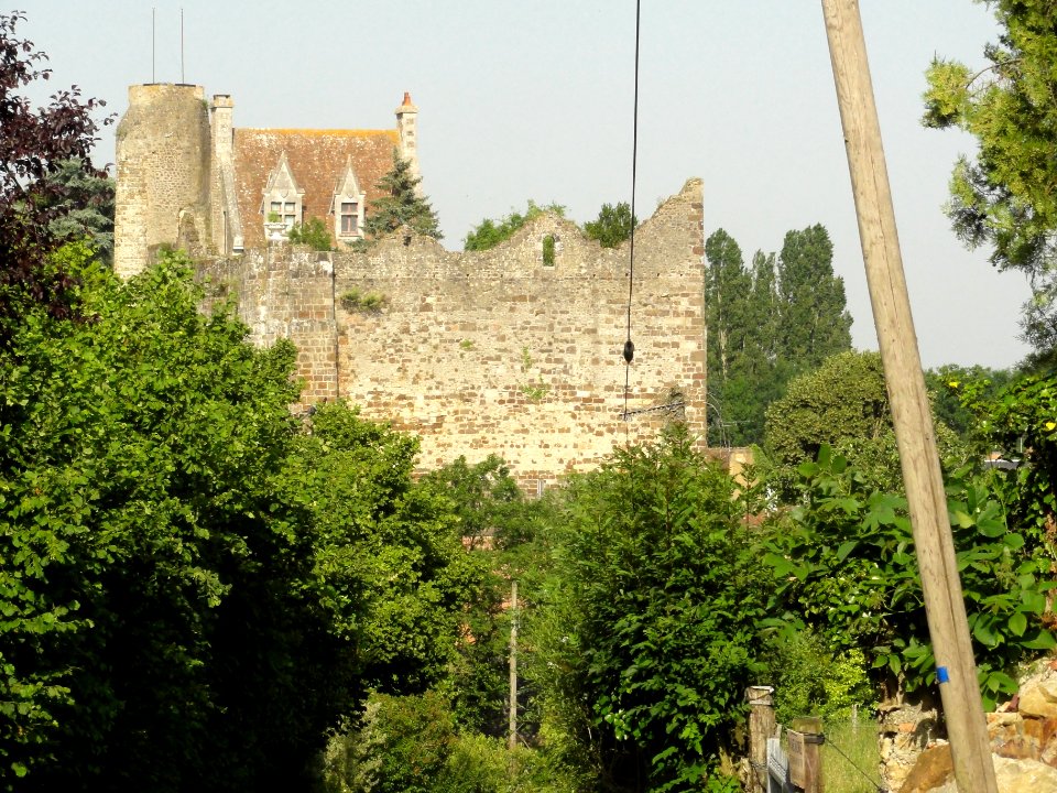 Beaumont-sur-Sarthe (Sarthe) château (01)