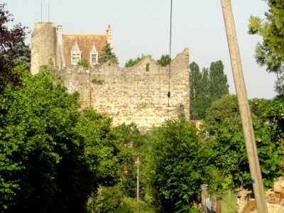 Beaumont-sur-Sarthe (Sarthe) château (01)