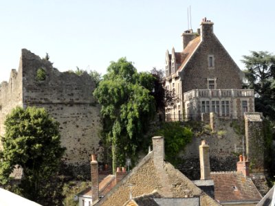 Beaumont-sur-Sarthe (Sarthe) château (06)